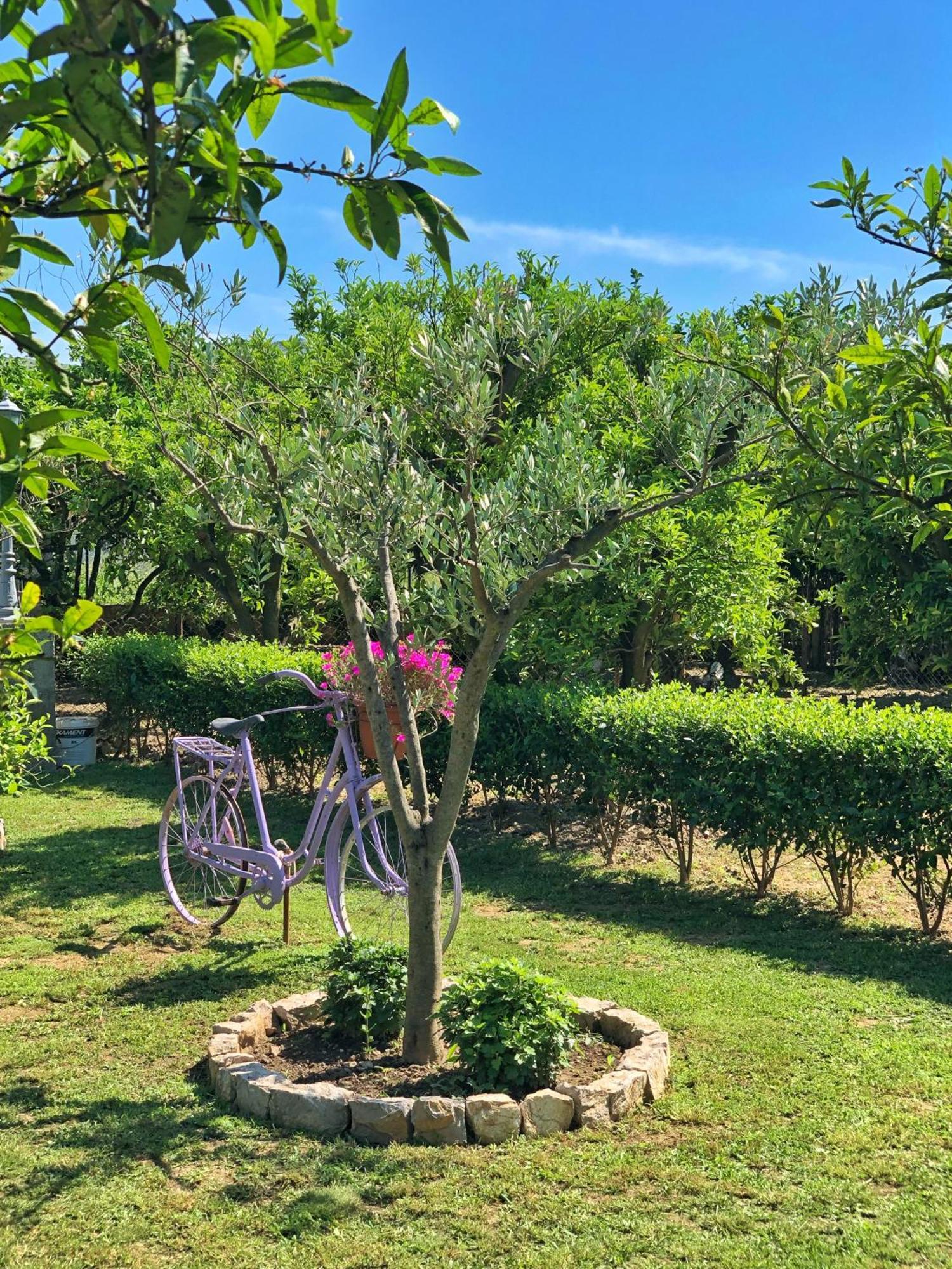 Hébergement de vacances La Mia Casa Bar