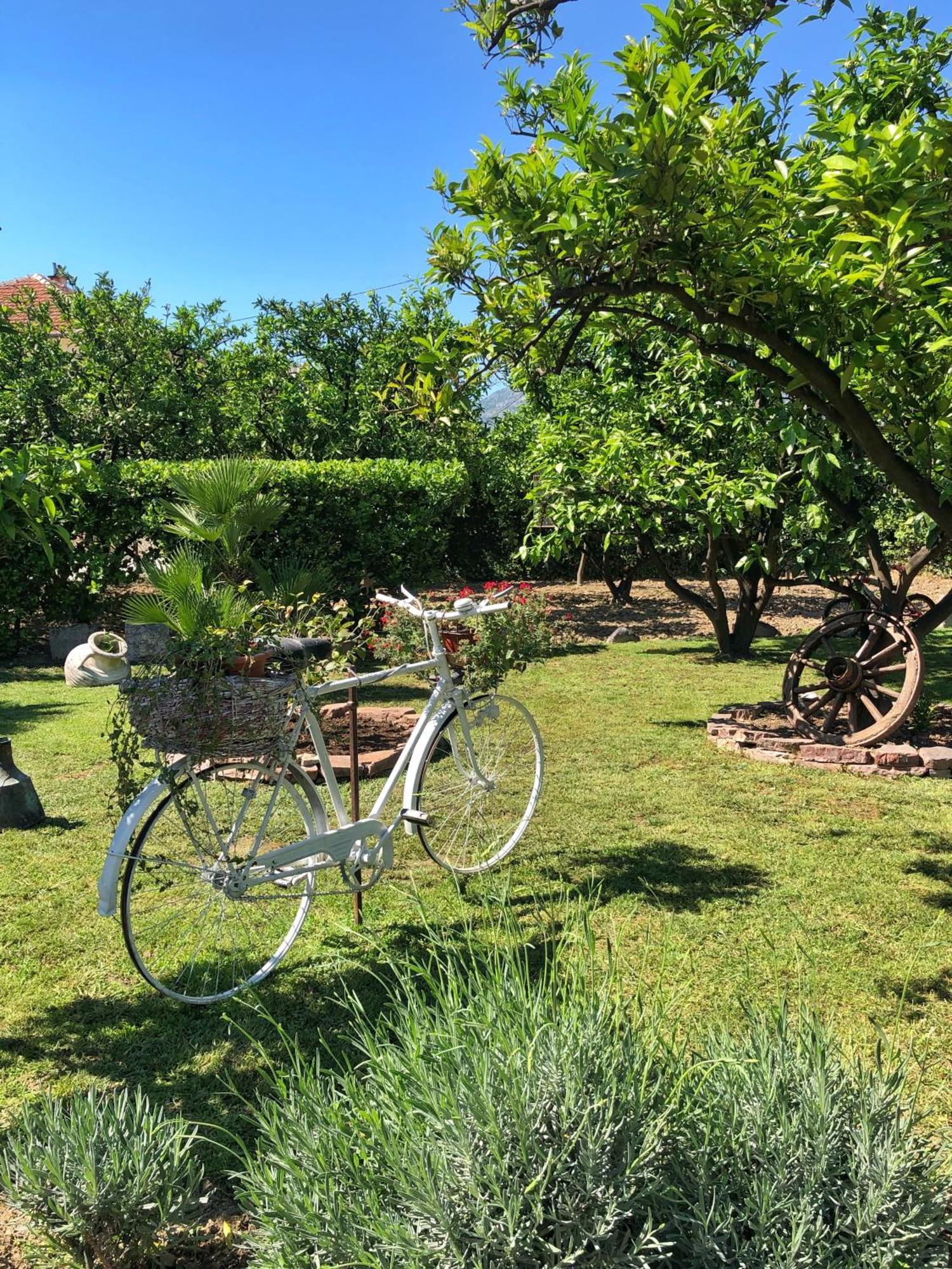 La Mia Casa